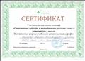 Сертификат участника методического семинара "Современные подходы к преподаванию русского языка и литературы вшколе"